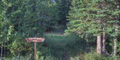 Copper River Trailhead