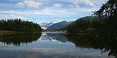 Airport Dike Trail (Mendenhall Refuge Trail)