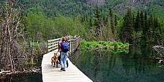 Albert Loop Trail