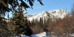 Hemlock Knob Trail
