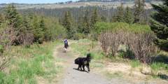 Homestead Trail at Rogers Loop Rd