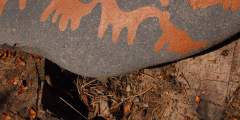 Pratt Museum Trails