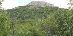 Mount Healy Overlook Trail (Mile .75)