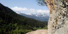 Perseverance Lake Trail