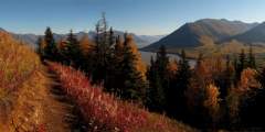 Hope Point Trail