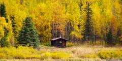 Swan Lake Cabin Seward