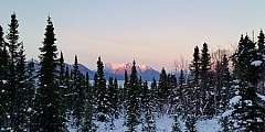 Tanalian Falls Trail