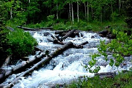 Hard Rock Trail