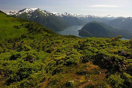 Mt. Verstovia Trail
