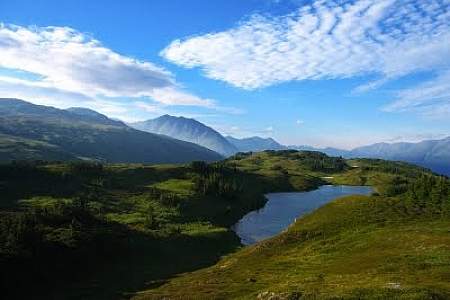 Primrose Trail