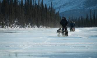 Iniakuk winter 4 alaska untitled